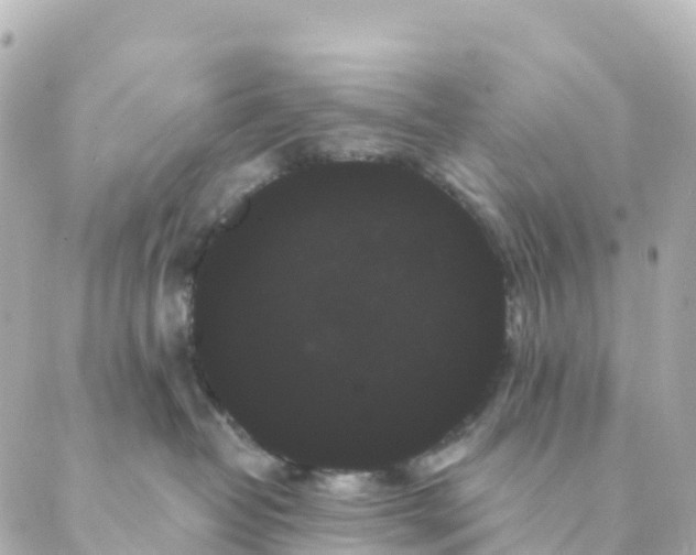 X0000088590382200706221347