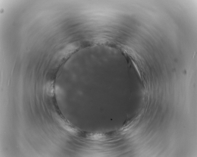 X0000088590383200706221347