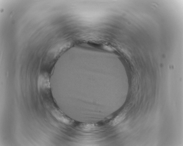 X0000088590384200706221347