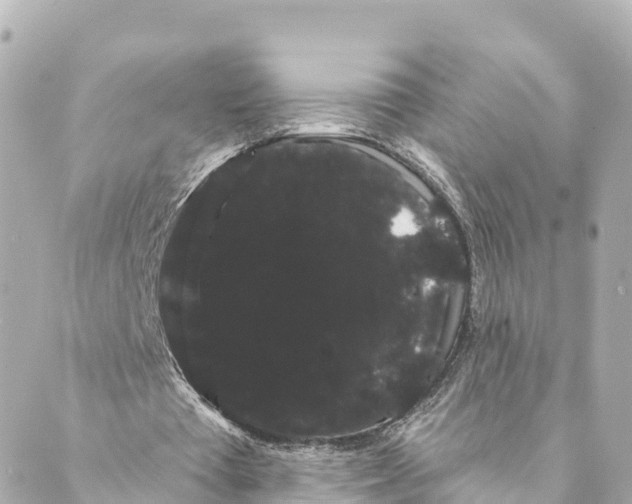 X0000088590385200706221346