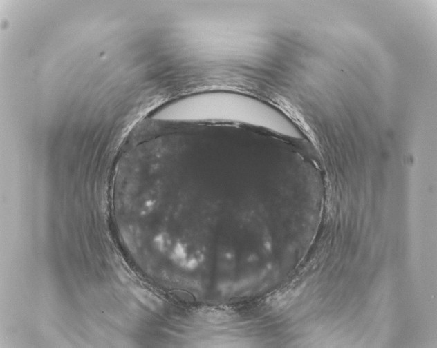 X0000088590386200706221346