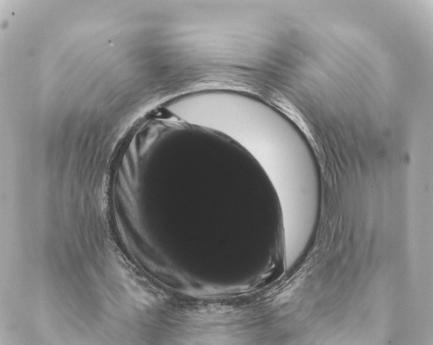 X0000088590387200706221346