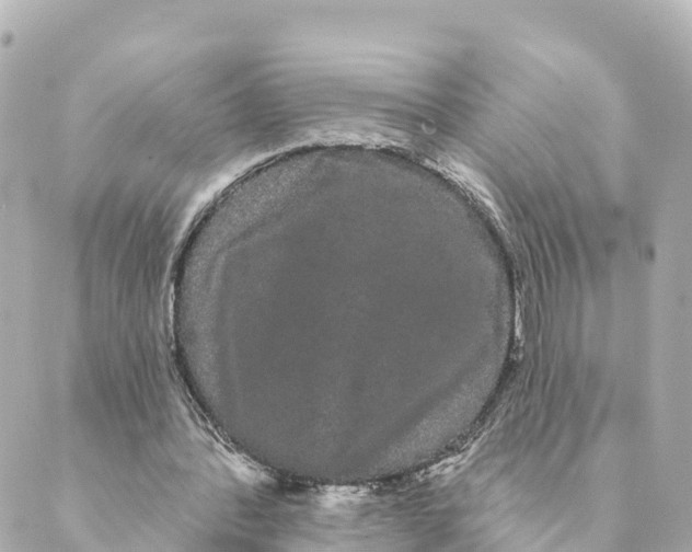 X0000088590388200706221346