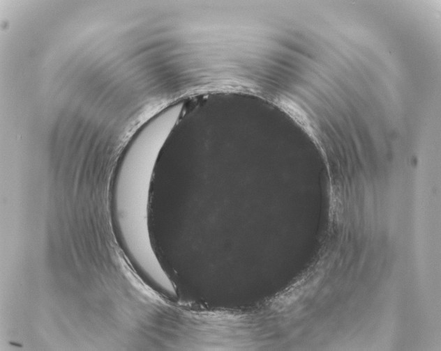 X0000088590389200706221346