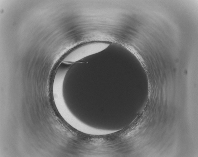 X0000088590391200706221346