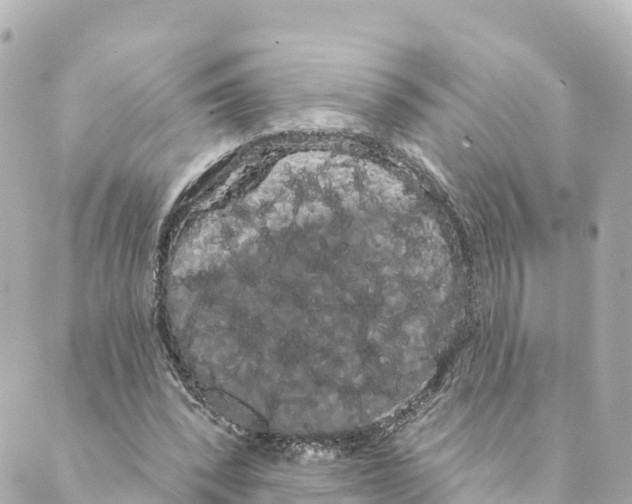 X0000088590392200706221346