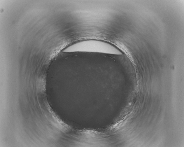 X0000088590393200706221346