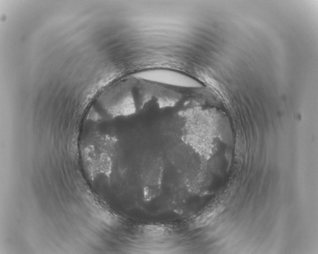 X0000088590394200706221346