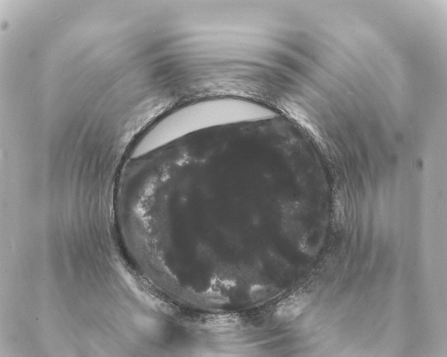 X0000088590398200706221346