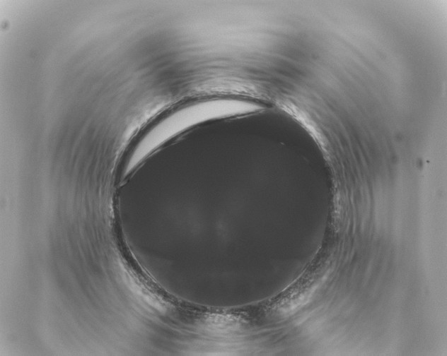 X0000088590399200706221346