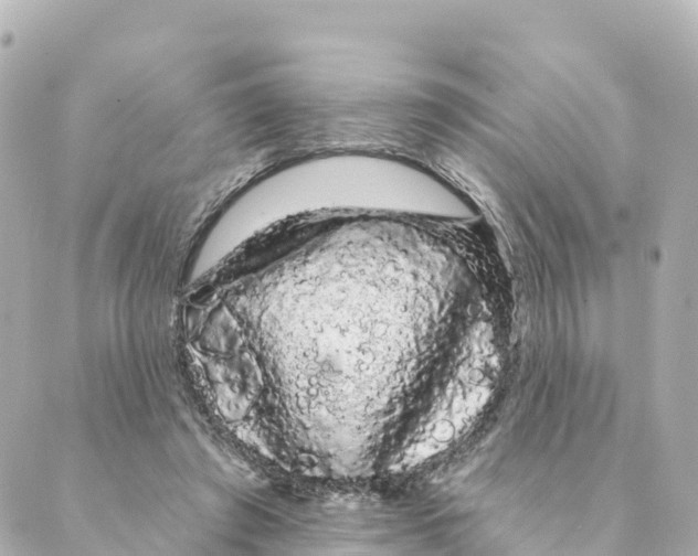 X0000088590401200706221346