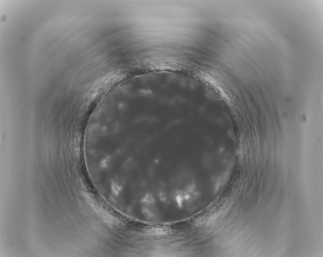 X0000088590402200706221346