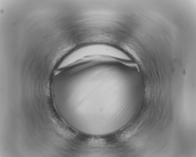 X0000088590403200706221346