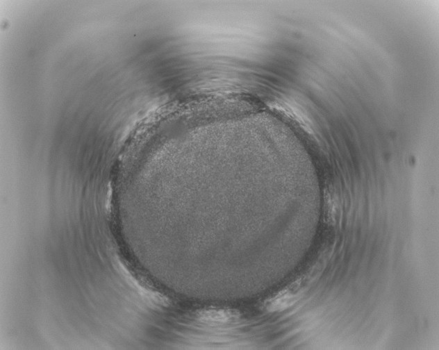 X0000088590404200706221346