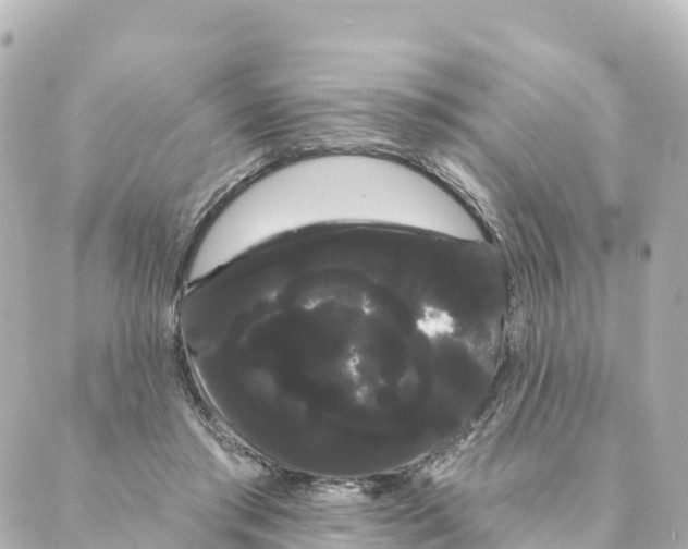 X0000088590405200706221346