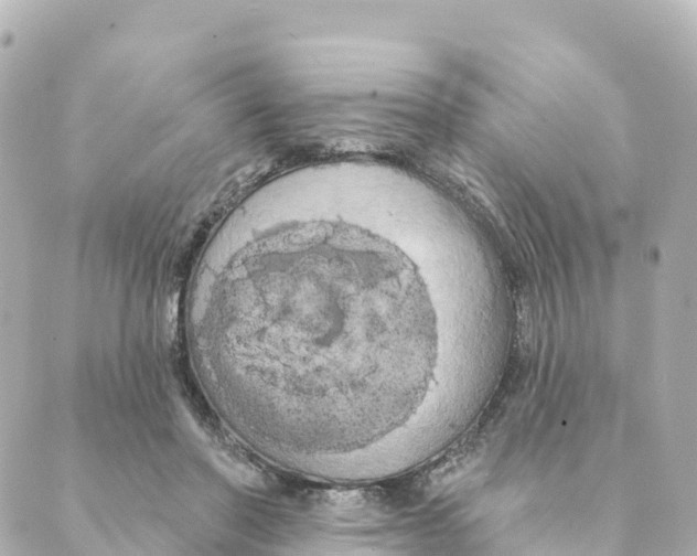 X0000088590406200706221346