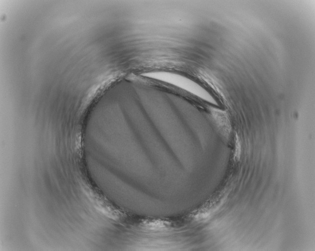 X0000088590407200706221346