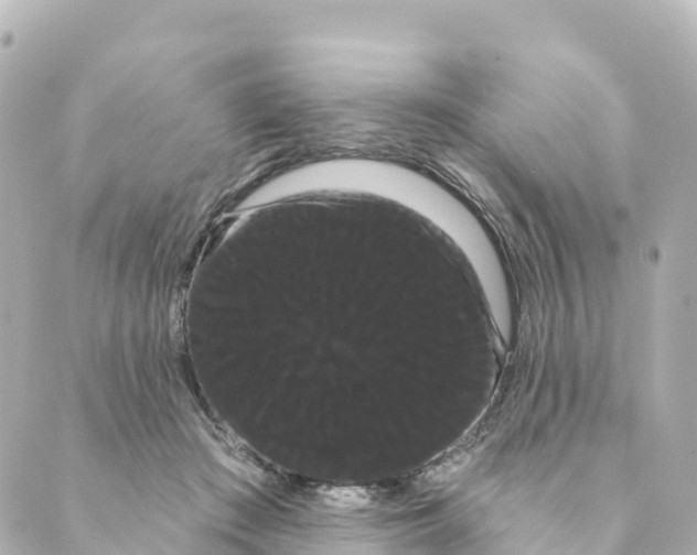 X0000088590409200706221346