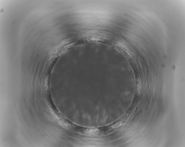 X0000088590410200706221346