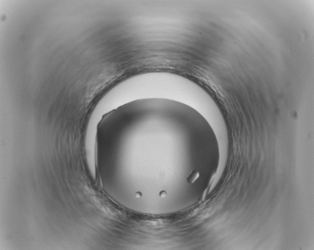 X0000088590411200706221346