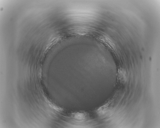 X0000088590412200706221346