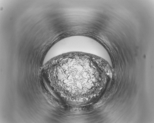 X0000088590413200706221346