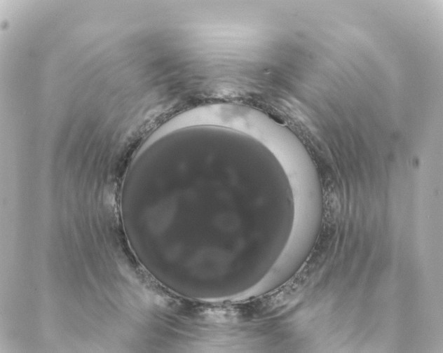 X0000088590415200706221346