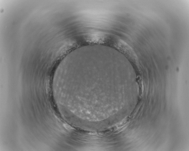 X0000088590416200706221346