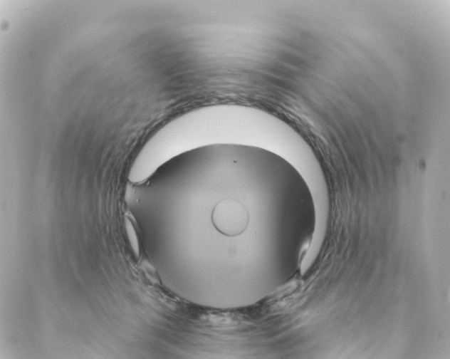 X0000088590417200706221346