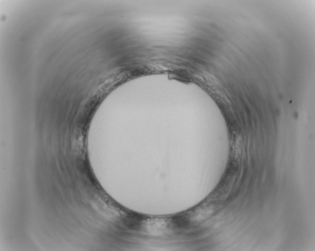 X0000088590418200706221346