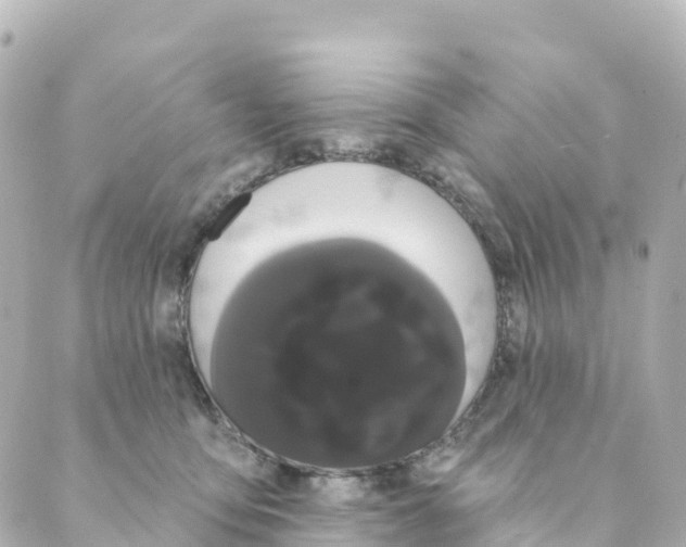 X0000088590419200706221346