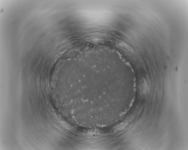 X0000088590420200706221346