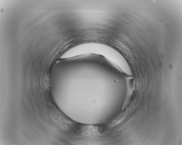 X0000088590421200706221346