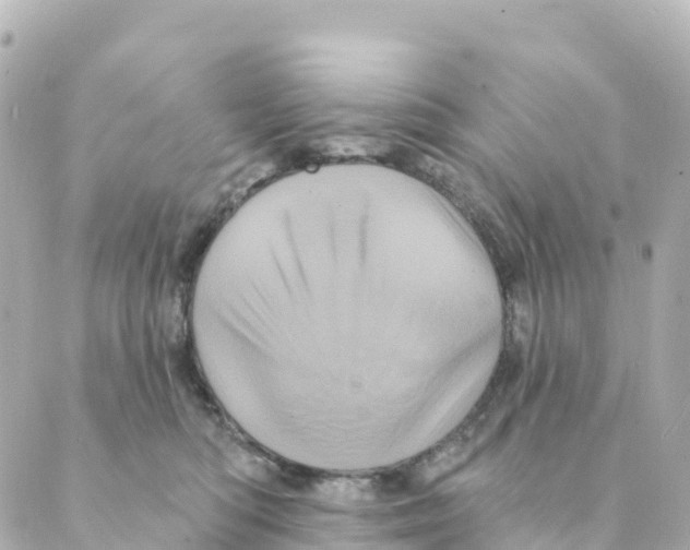 X0000088590422200706221346