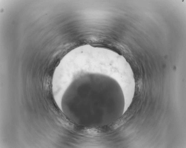 X0000088590423200706221346