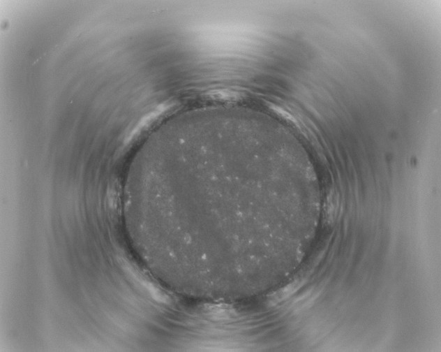 X0000088590424200706221346