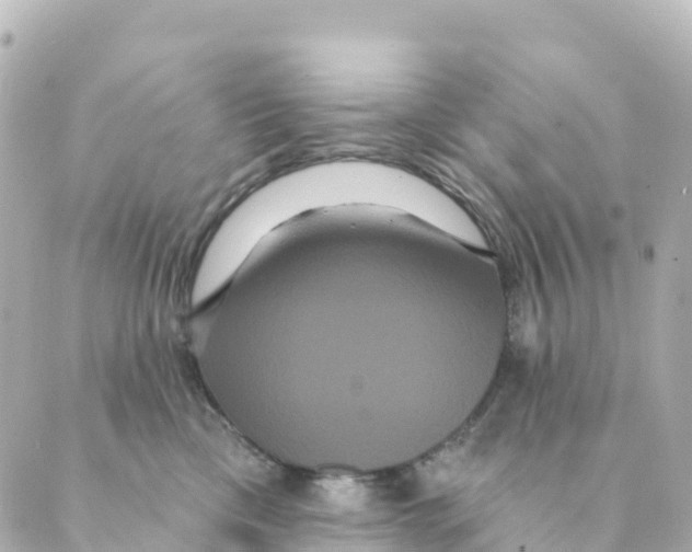 X0000088590425200706221346