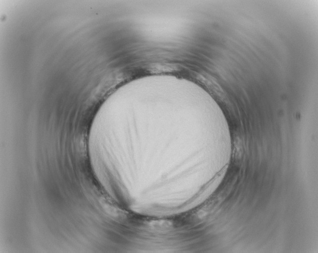 X0000088590426200706221346