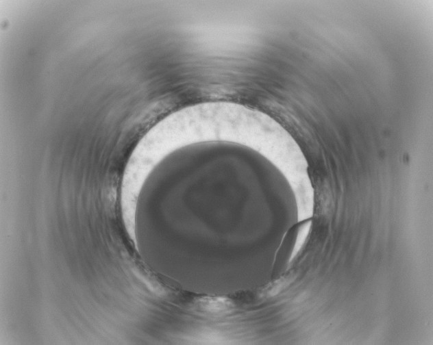 X0000088590427200706221346