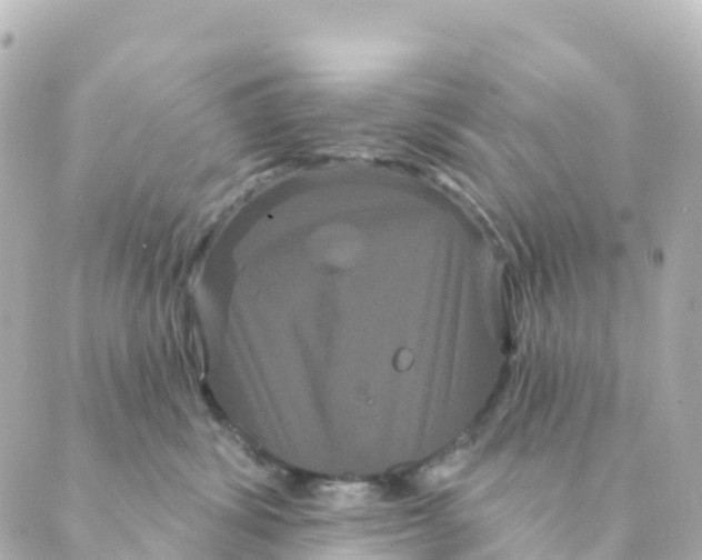 X0000088590428200706221346