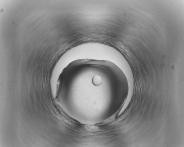 X0000088590429200706221345