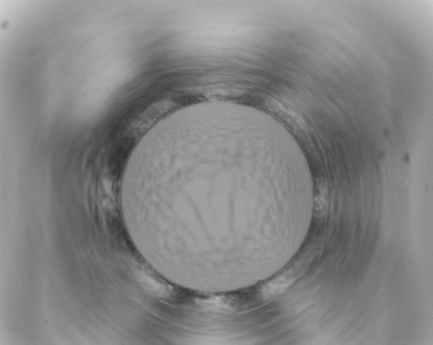 X0000088590430200706221345