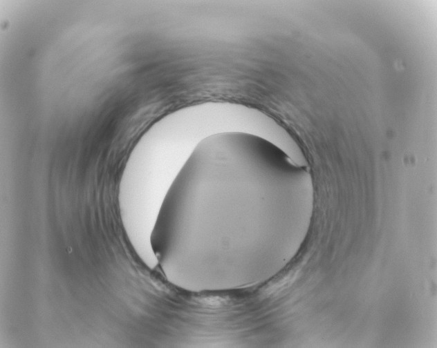 X0000088590432200706221345