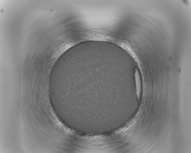 X0000088590433200706221345