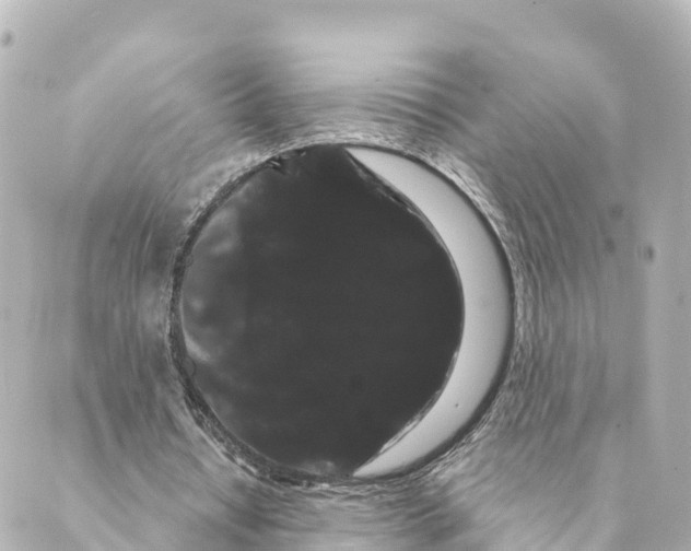 X0000088590434200706221345