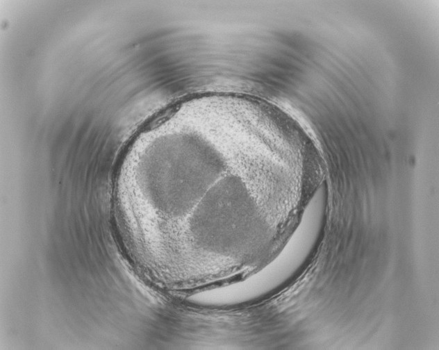 X0000088590437200706221345