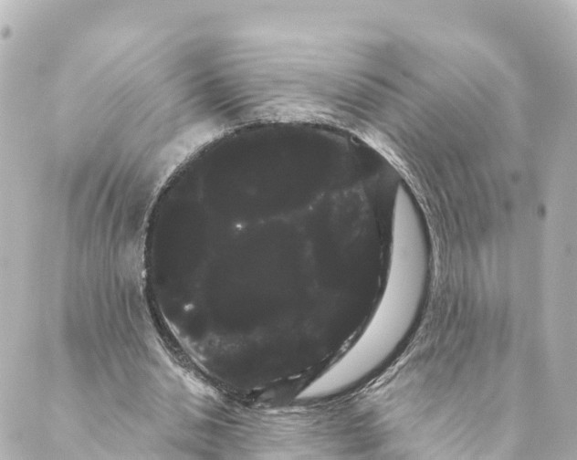 X0000088590438200706221345