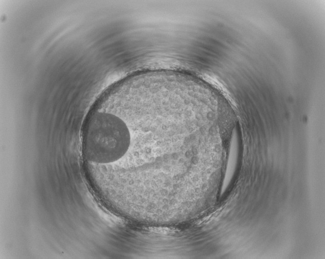 X0000088590439200706221345