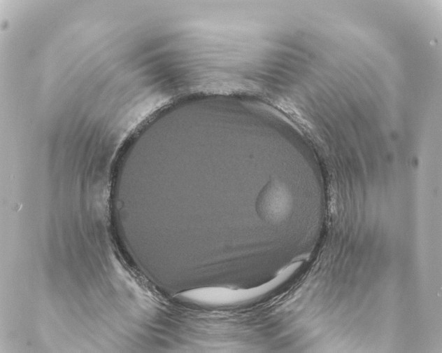 X0000088590440200706221345