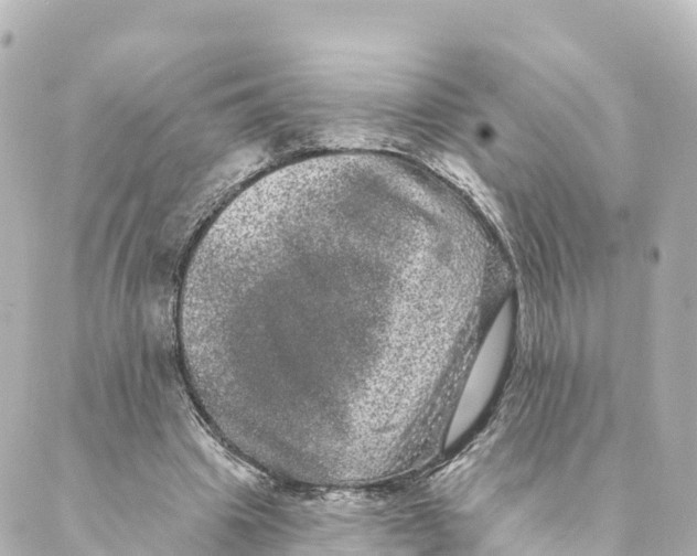 X0000088590441200706221345